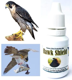 Pigeon Protection From Hawk and Falcon - Hawk Shield Gel - No Side-Efffects