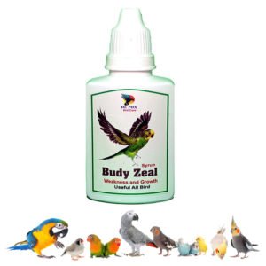 Small  Bird Weight Loss Recovery Buddy Zeal