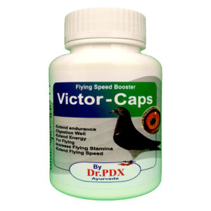 Pigeon Flying Speed Booster VICTOR Caps