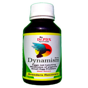 Breeding and Fitnes Supplement For Pigeon - Dynamism Syrup