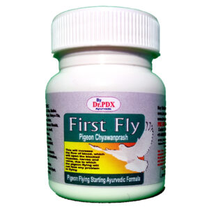 Pigeon First Flying Starting Gel