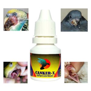 Pigeon Mouth Canker and Infection Medicine - Canker X