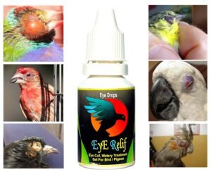 कबूतर व छोटे पंछी की आंखों की दवा - आई रलीफ डरापस Eye Relief drop - Image 2
