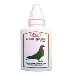 Pigeon Cold and Cough Treatment Medicine - Cold Gone Syrup