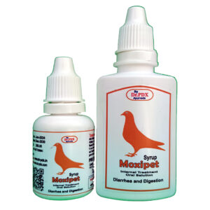 Pigeon Stomach Infection Treatment - Moxipet Syrup