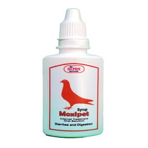 Pigeon Stomach Infection Treatment -  Moxipet Syrup - Image 4