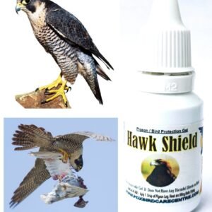 Pigeon Protection From Hawk -  Hawk Shield Gel