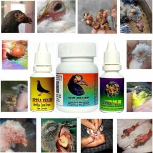 Pigeon 3-medicine Pack - Product By Dr  PDX