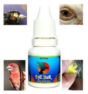 Eye-Star-Drops Pigeon Product By Dr PDX