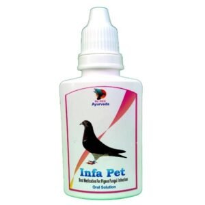 Pigeon 12 Common Disease Treatment Medication Pack