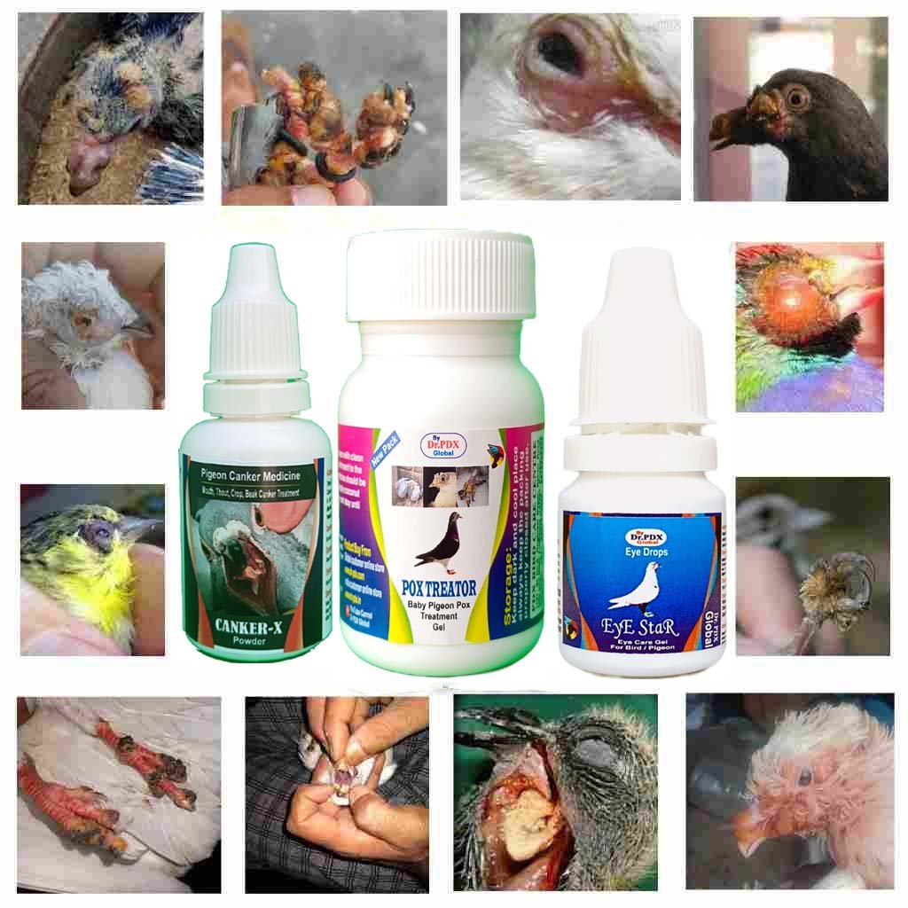 Pigeons Pox-Canker-Eye Disaese Medicne 2 Pox T Combo 1