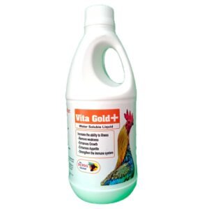 Aseel Rooster Vita Gold Plus Multivitamins-Supplement By Dr PDX India