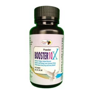 Pigeons  Flying, Booster-10x-Powder