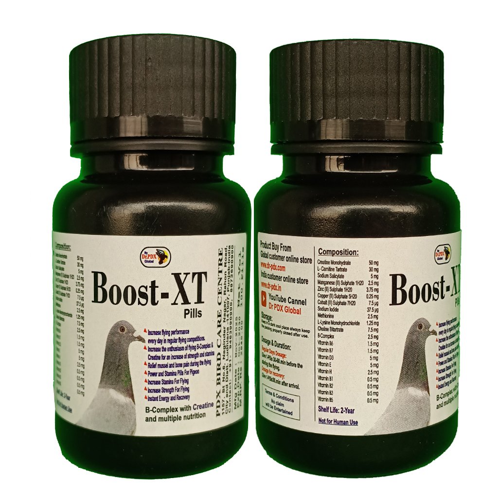 Booster XT