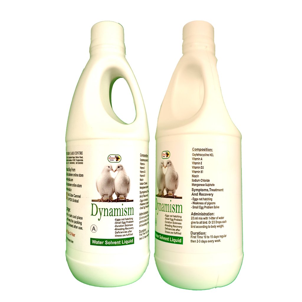 Pigeon Breeding and After illness Recovery Supplement - Dynamism 8 Dynamism