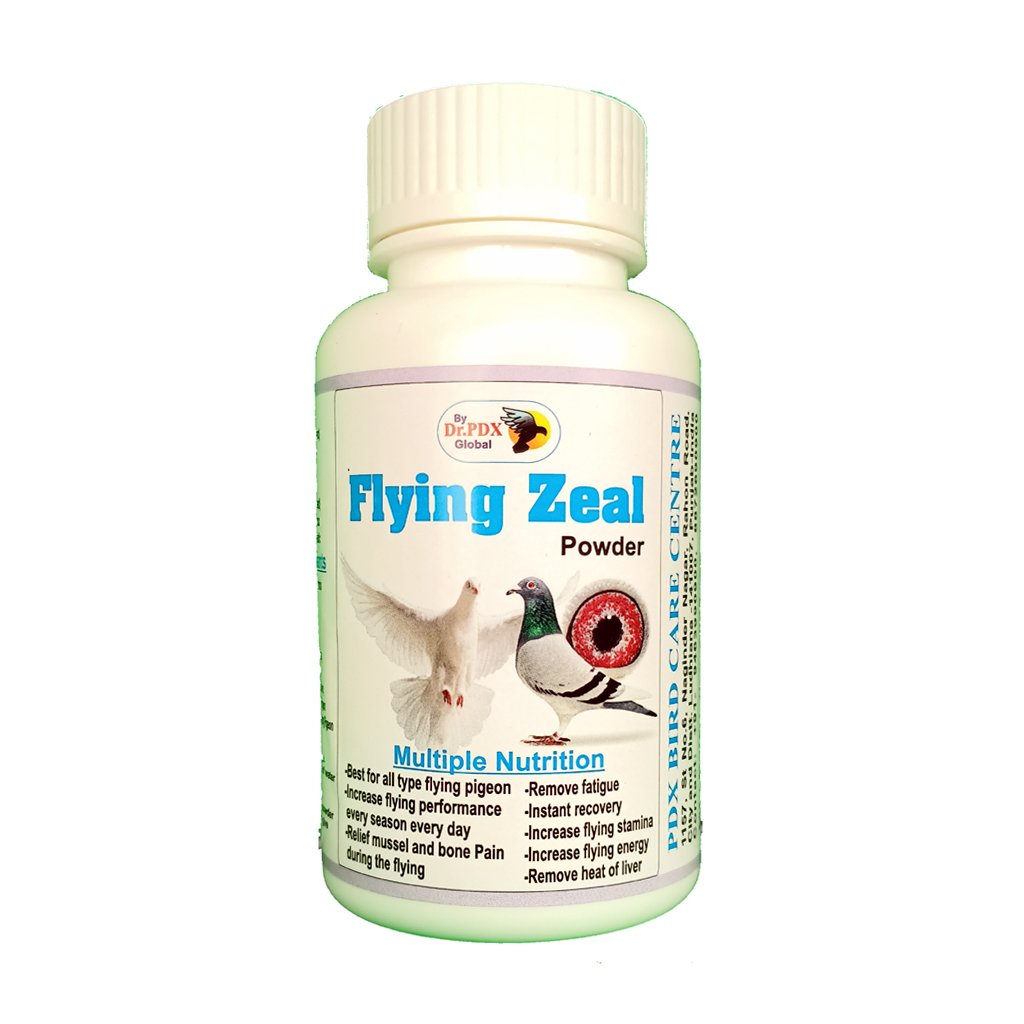 Flying Zeal Powder Front