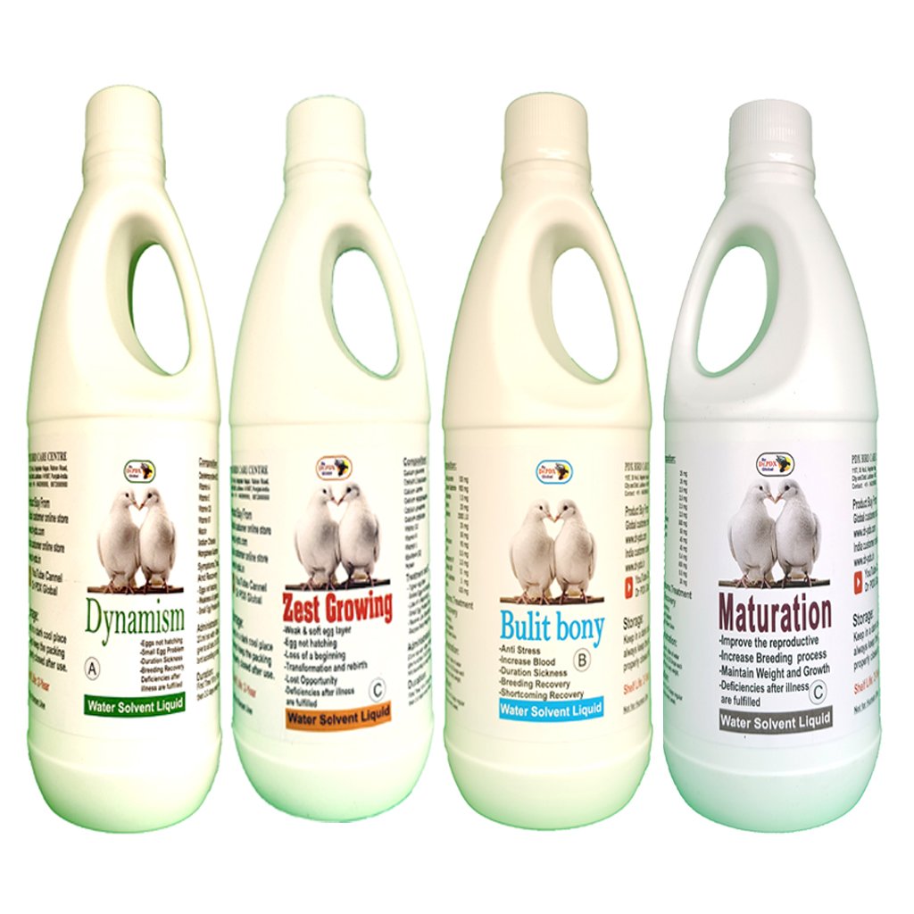 All Shortcoming Complete Recovery For Pigeon 2 Breeder Recovery