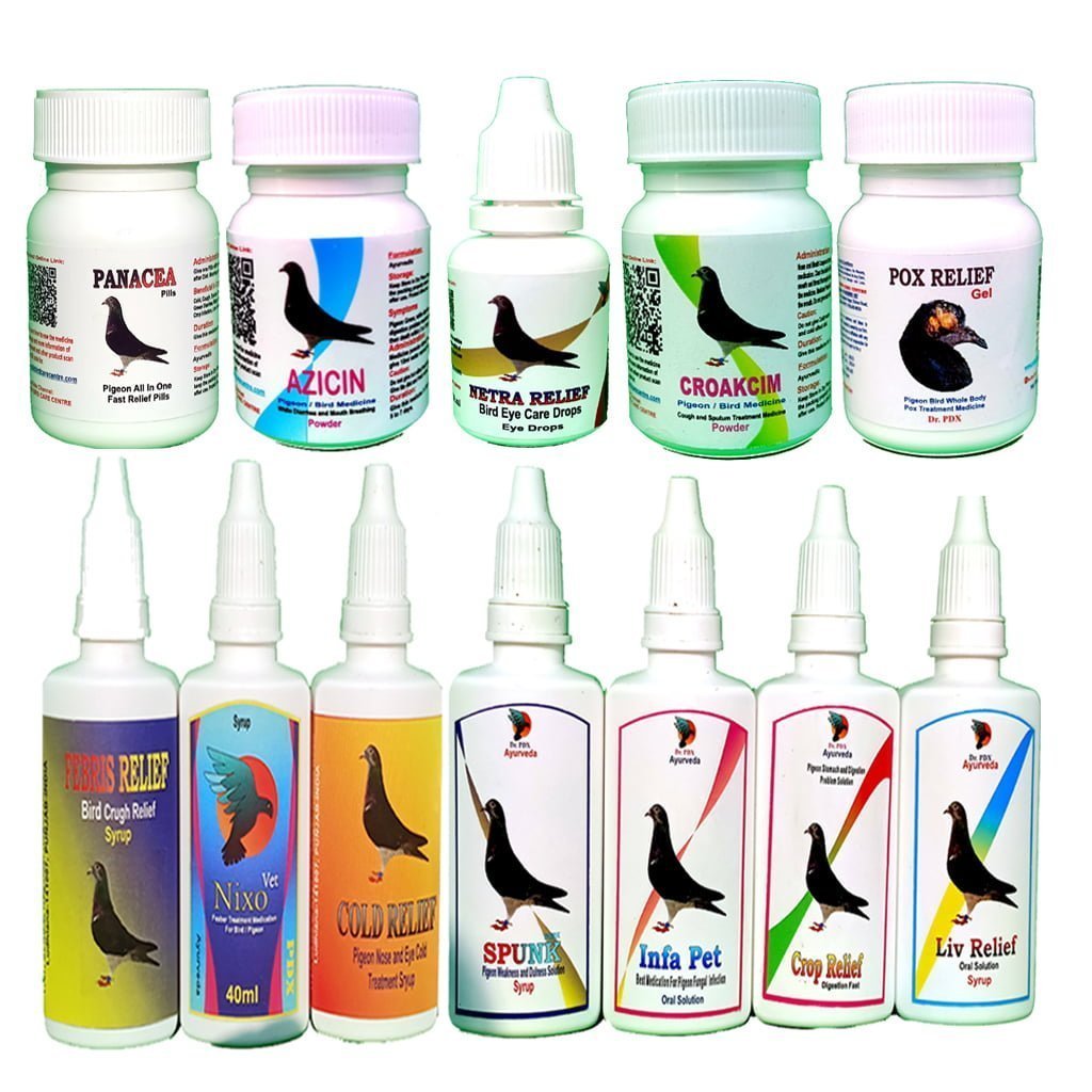 Pigeons
  6 Common Disease Medication Pack
