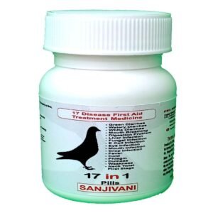 Pigeons
  6 Common Disease Medication Pack