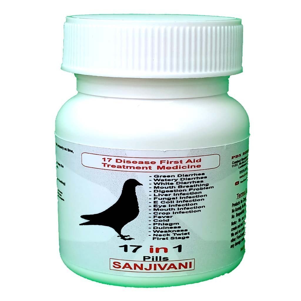 Pigeons
  6 Common Disease Medication Pack - Image 2