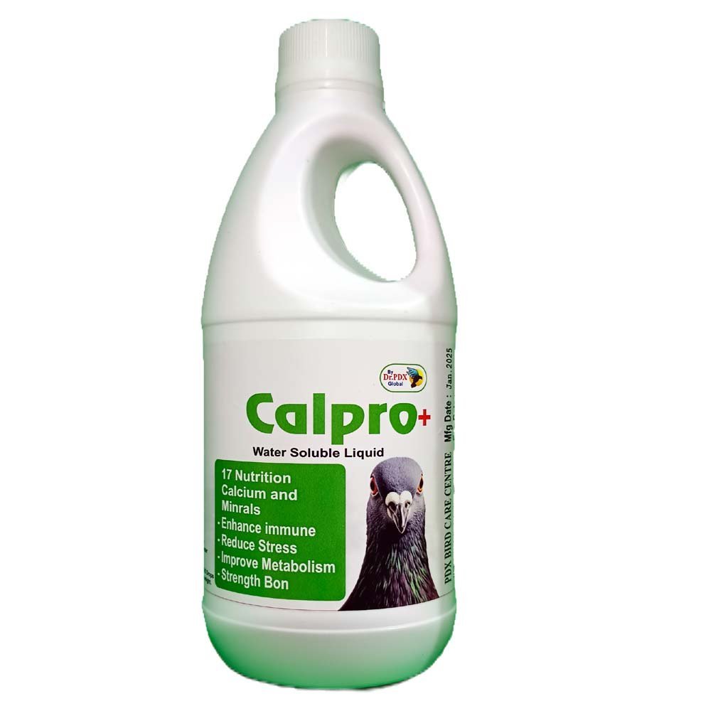 Pigeon
  medicine, Calpro plus syrup