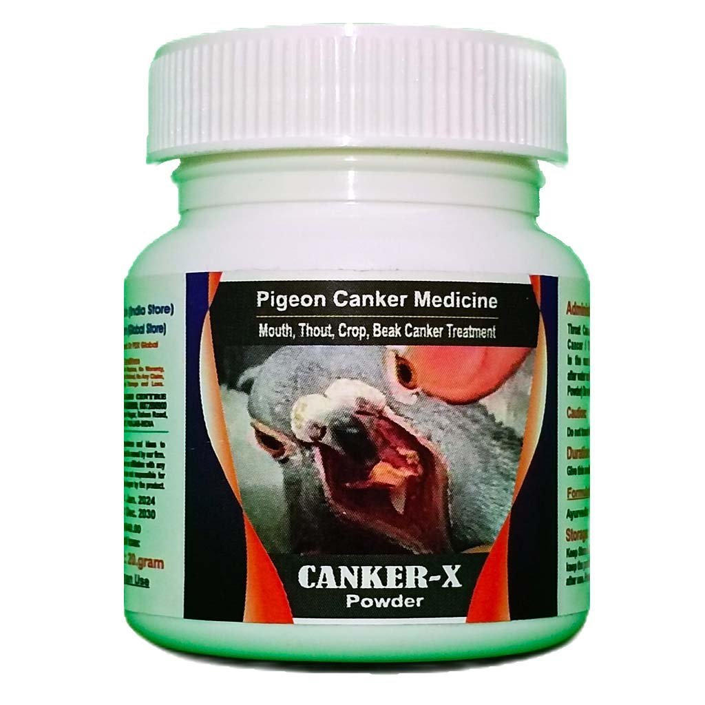 Pigeons
  Fungal nfection Medicne