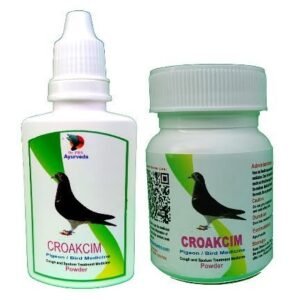 Pigeons
Cough Phlegm Medicne
