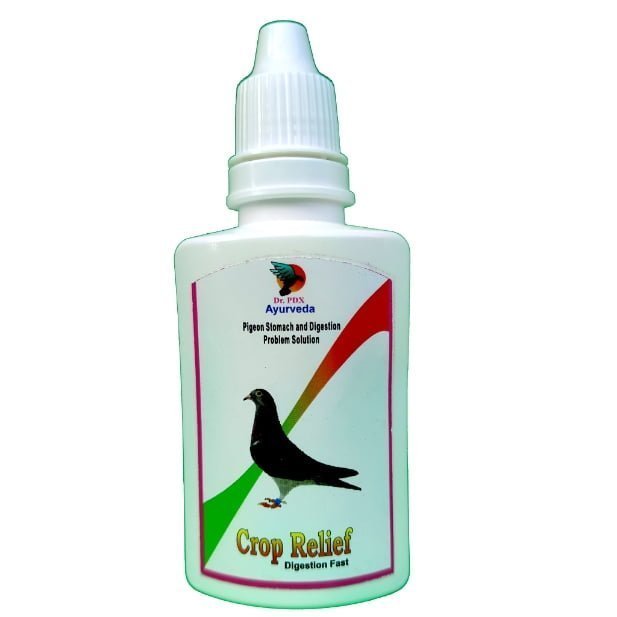 Pigeons
  All Common Disease Medication Pack - Image 5