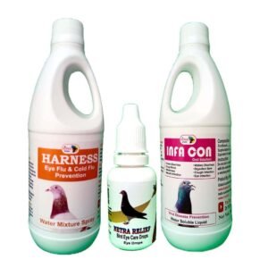 Pigeons Viral Eye Disease Prevention - By Dr PDX