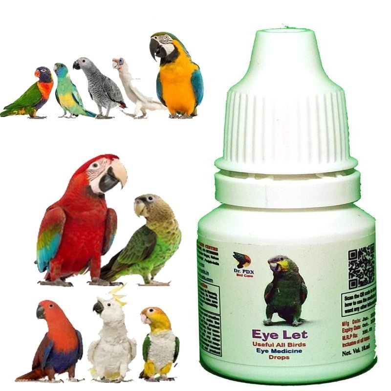 Small Bird Eye - For All type Bird Parrot, Love bird 1 Small
Bird Eye - For All type Bird Parrot, Love bird