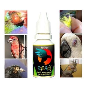 Pigeons
  Eye Flu Eye Relief Drops By Dr PDX