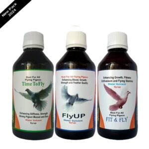Pigeons Flyng, Herbal Product, Time Increase Total Recovery,  All Power