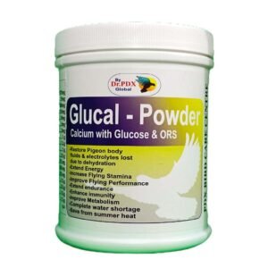 Pigeons
  Glucal-Powder Pigeons