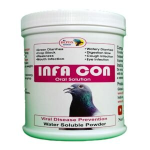 Pigeons  Viral Disease Prevention - By Dr PDX