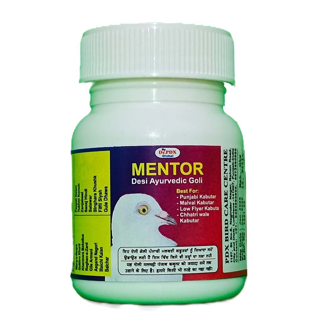 Pigeons Flyng, Low Flyer Pigeons Mentor Herb Tab 1 Pigeons
Flyng, Low Flyer Pigeons Mentor Herb Tab