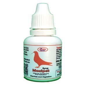 Pigeons
  Stomach nfection - Moxipet Syrup
