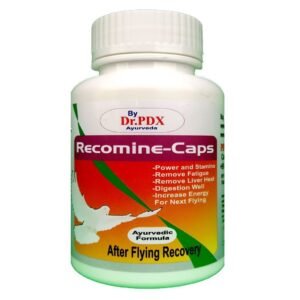 After
  Flyng Recovery Recomne Capsule For Pigeon