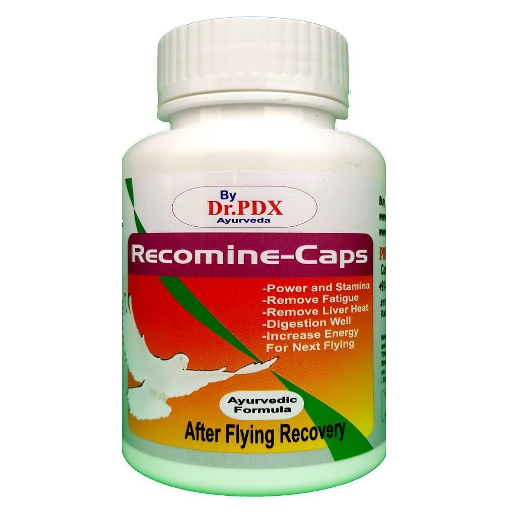 After
  Flyng Recovery Recomne Capsule For Pigeon
