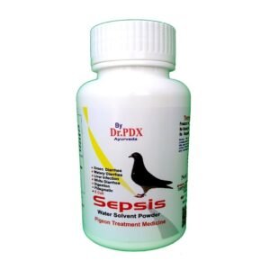 Nne
  Viral Disaese Prevent Pigeons Kabootar Medicne
