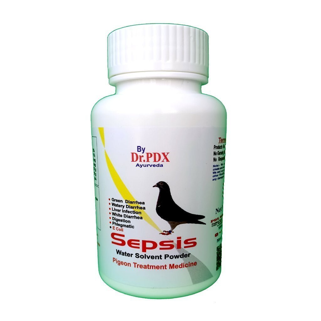 Nne
  Viral Disaese Prevent Pigeons Kabootar Medicne