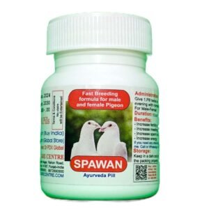 Pigeon
medicine, Spawan pills, For Male, Femail