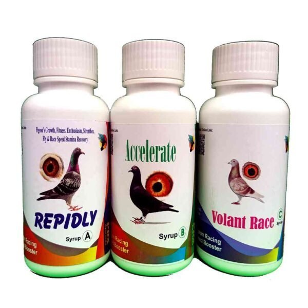 Pigeons Flyng Performanmce Supplement Product - Kabootar Udaan 1 Pigeons
Flyng Performanmce Supplement Product - Kabootar Udaan