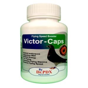 Pigeons
  Flyng Speed Booster VICTOR Caps - Kabootar Udaan