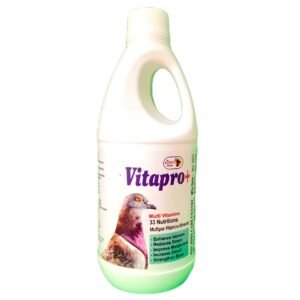 Pigeons
  Product Multi V Vitapro By Dr PDX