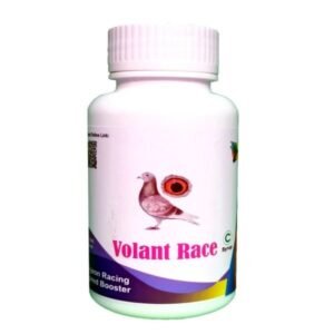 Pigeons
  Speed Booster Volant Race Syrup