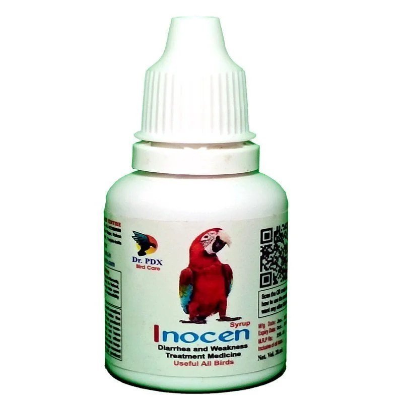 INOCEN copy 800x800 1 3