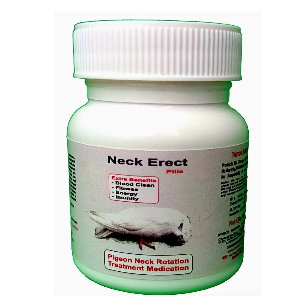 NECK ERECT